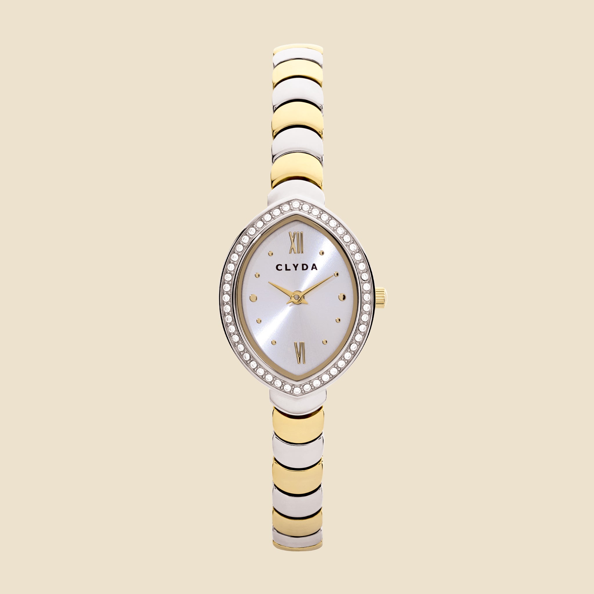 Montre bicolore cadran argenté - Iris
